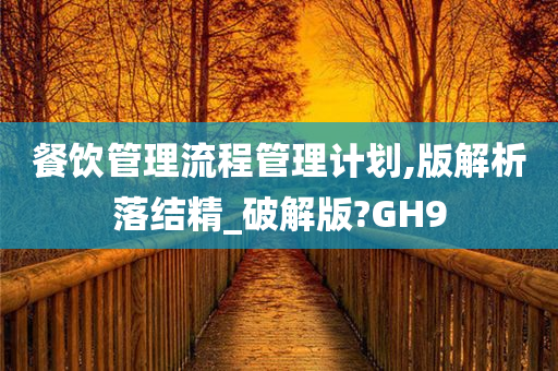 餐饮管理流程管理计划,版解析落结精_破解版?GH9