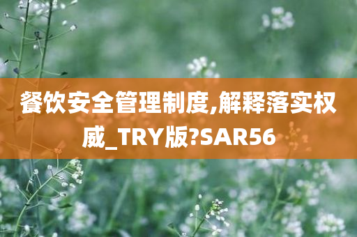 餐饮安全管理制度,解释落实权威_TRY版?SAR56