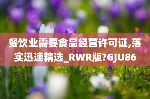 餐饮业需要食品经营许可证,落实迅速精选_RWR版?GJU86