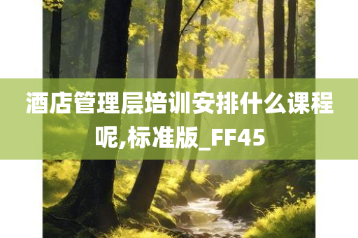 酒店管理层培训安排什么课程呢,标准版_FF45