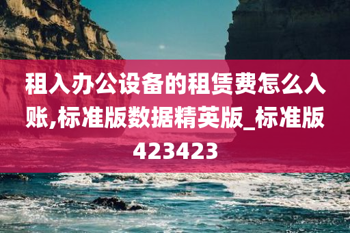 租入办公设备的租赁费怎么入账,标准版数据精英版_标准版423423