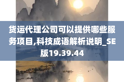 货运代理公司可以提供哪些服务项目,科技成语解析说明_SE版19.39.44