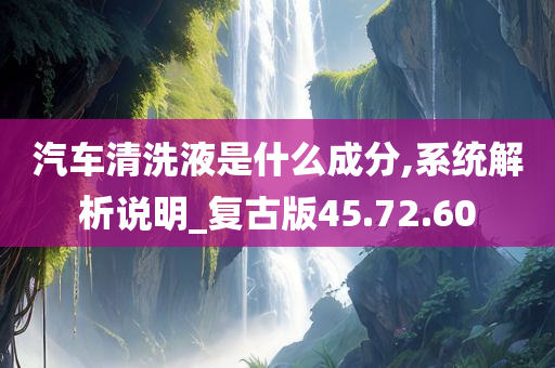 汽车清洗液是什么成分,系统解析说明_复古版45.72.60