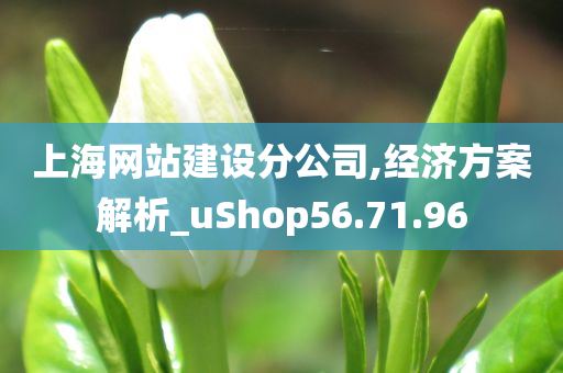 上海网站建设分公司,经济方案解析_uShop56.71.96