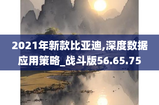 2021年新款比亚迪,深度数据应用策略_战斗版56.65.75