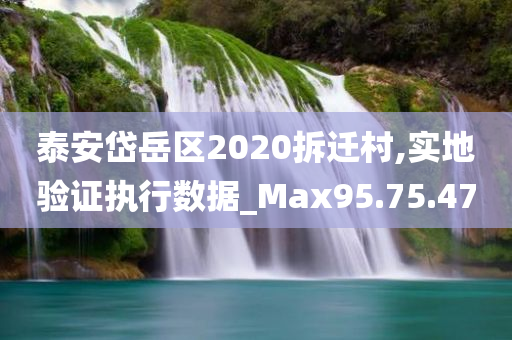 泰安岱岳区2020拆迁村,实地验证执行数据_Max95.75.47