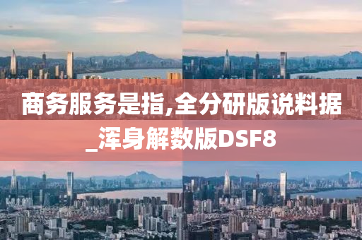 商务服务是指,全分研版说料据_浑身解数版DSF8