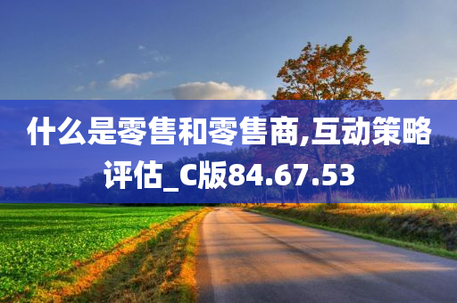 什么是零售和零售商,互动策略评估_C版84.67.53