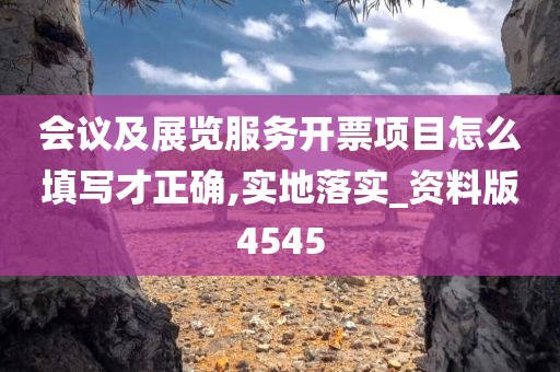 会议及展览服务开票项目怎么填写才正确,实地落实_资料版4545