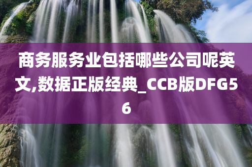 商务服务业包括哪些公司呢英文,数据正版经典_CCB版DFG56