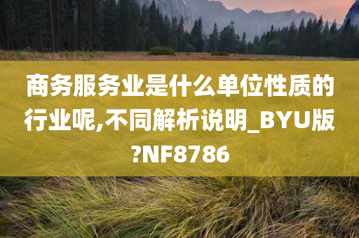 商务服务业是什么单位性质的行业呢,不同解析说明_BYU版?NF8786