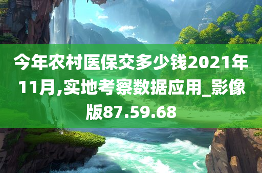 今年农村医保交多少钱2021年11月,实地考察数据应用_影像版87.59.68