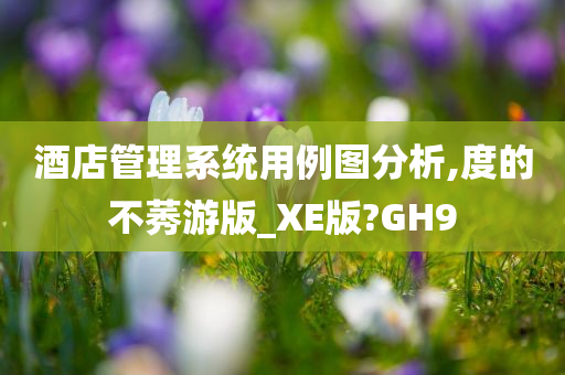 酒店管理系统用例图分析,度的不莠游版_XE版?GH9