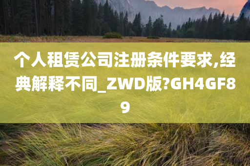 个人租赁公司注册条件要求,经典解释不同_ZWD版?GH4GF89