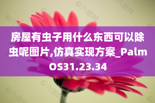 房屋有虫子用什么东西可以除虫呢图片,仿真实现方案_PalmOS31.23.34