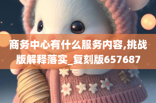 商务中心有什么服务内容,挑战版解释落实_复刻版657687