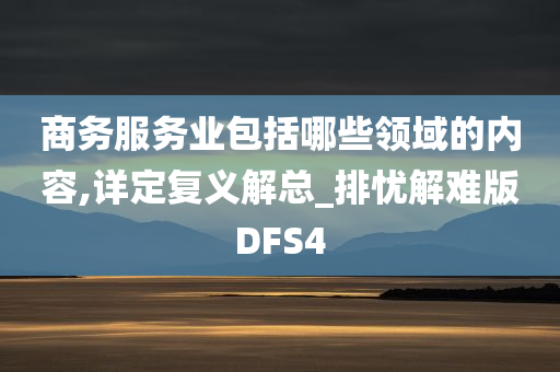 商务服务业包括哪些领域的内容,详定复义解总_排忧解难版DFS4