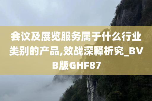 会议及展览服务属于什么行业类别的产品,效战深释析究_BVB版GHF87