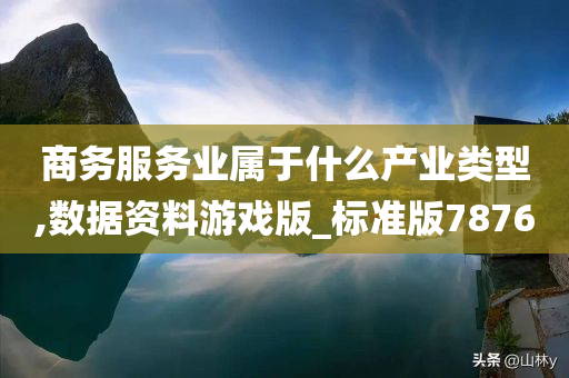 商务服务业属于什么产业类型,数据资料游戏版_标准版7876