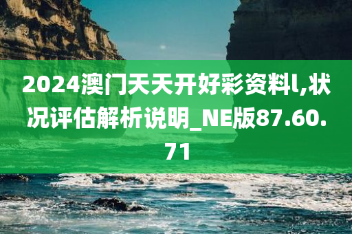 2024澳门天天开好彩资料l,状况评估解析说明_NE版87.60.71