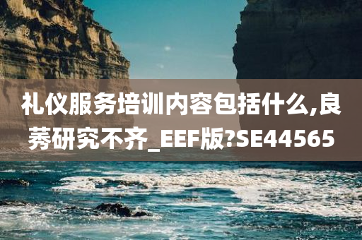 礼仪服务培训内容包括什么,良莠研究不齐_EEF版?SE44565