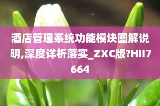 酒店管理系统功能模块图解说明,深度详析落实_ZXC版?HII7664