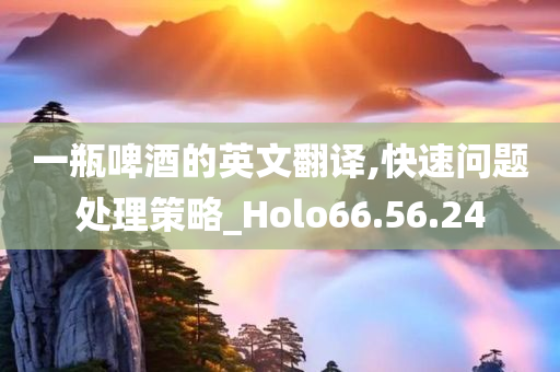 一瓶啤酒的英文翻译,快速问题处理策略_Holo66.56.24