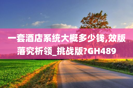 一套酒店系统大概多少钱,效版落究析领_挑战版?GH489