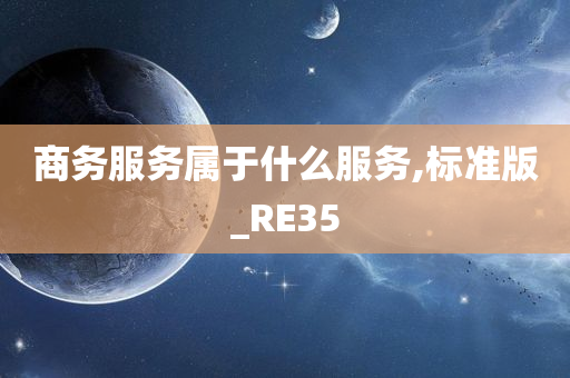 商务服务属于什么服务,标准版_RE35