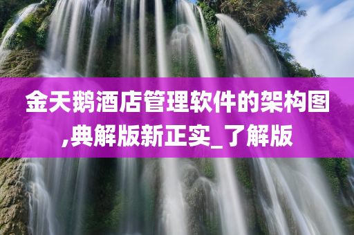 金天鹅酒店管理软件的架构图,典解版新正实_了解版