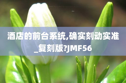 酒店的前台系统,确实刻动实准_复刻版?JMF56