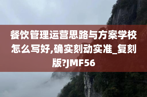 餐饮管理运营思路与方案学校怎么写好,确实刻动实准_复刻版?JMF56