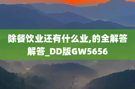 除餐饮业还有什么业,的全解答解答_DD版GW5656