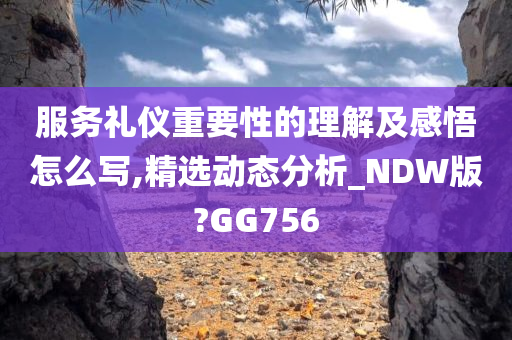 服务礼仪重要性的理解及感悟怎么写,精选动态分析_NDW版?GG756