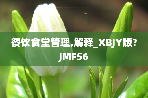 餐饮食堂管理,解释_XBJY版?JMF56