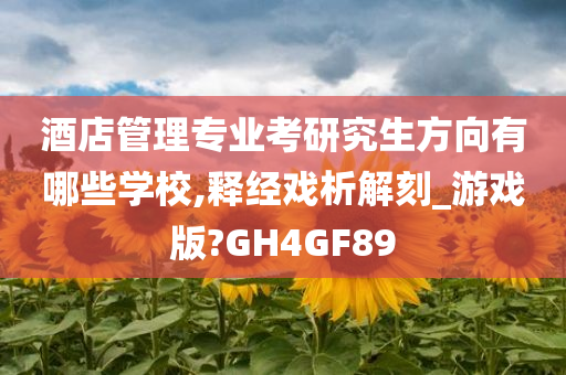 酒店管理专业考研究生方向有哪些学校,释经戏析解刻_游戏版?GH4GF89