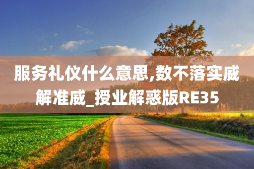 服务礼仪什么意思,数不落实威解准威_授业解惑版RE35