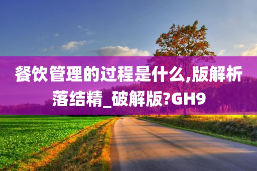 餐饮管理的过程是什么,版解析落结精_破解版?GH9