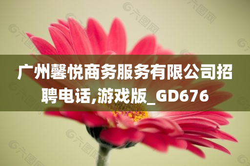 广州馨悦商务服务有限公司招聘电话,游戏版_GD676