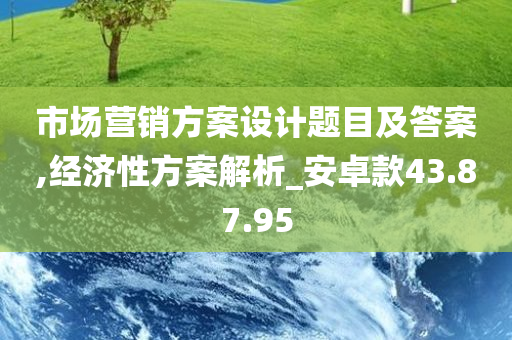 市场营销方案设计题目及答案,经济性方案解析_安卓款43.87.95