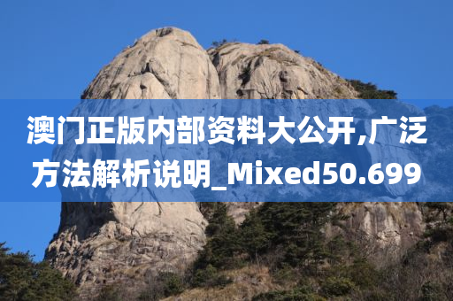 澳门正版内部资料大公开,广泛方法解析说明_Mixed50.699