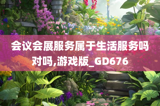 会议会展服务属于生活服务吗对吗,游戏版_GD676