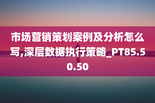 市场营销策划案例及分析怎么写,深层数据执行策略_PT85.50.50