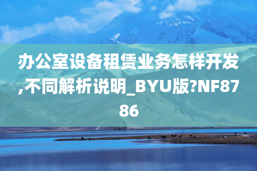 办公室设备租赁业务怎样开发,不同解析说明_BYU版?NF8786