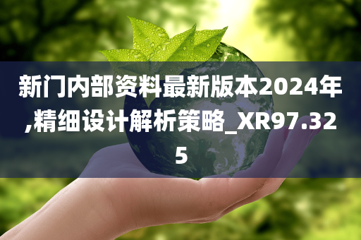 新门内部资料最新版本2024年,精细设计解析策略_XR97.325