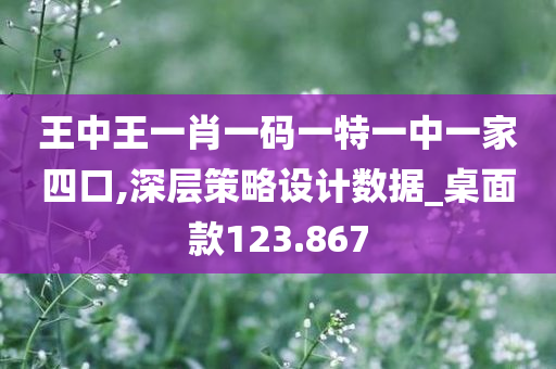 王中王一肖一码一特一中一家四口,深层策略设计数据_桌面款123.867