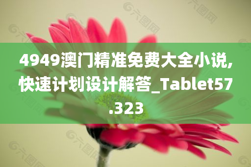 4949澳门精准免费大全小说,快速计划设计解答_Tablet57.323