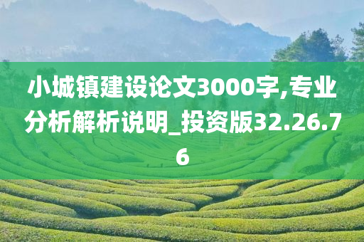 小城镇建设论文3000字,专业分析解析说明_投资版32.26.76