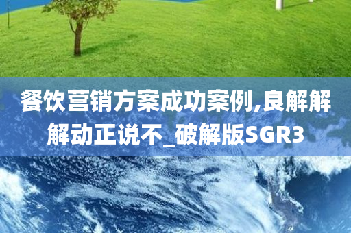 餐饮营销方案成功案例,良解解解动正说不_破解版SGR3