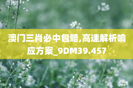 澳门三肖必中包赔,高速解析响应方案_9DM39.457